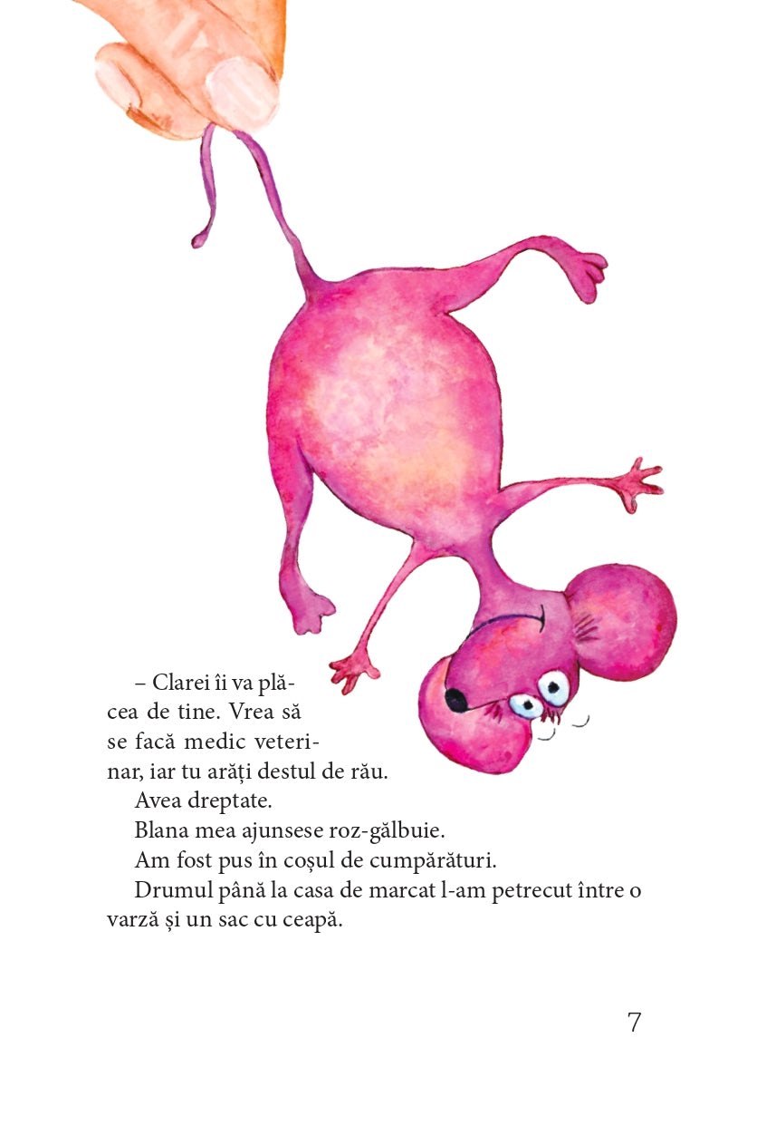 Al 13-lea ren
