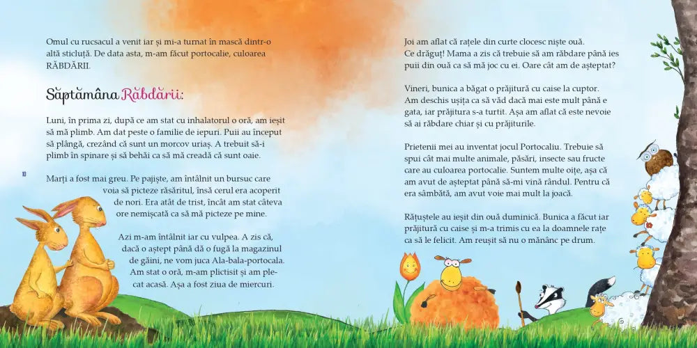 Aventurile Oiței Roz Cărți