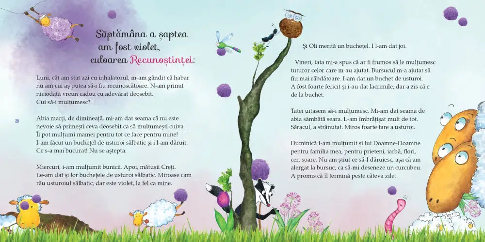 Aventurile Oiței Roz Cărți