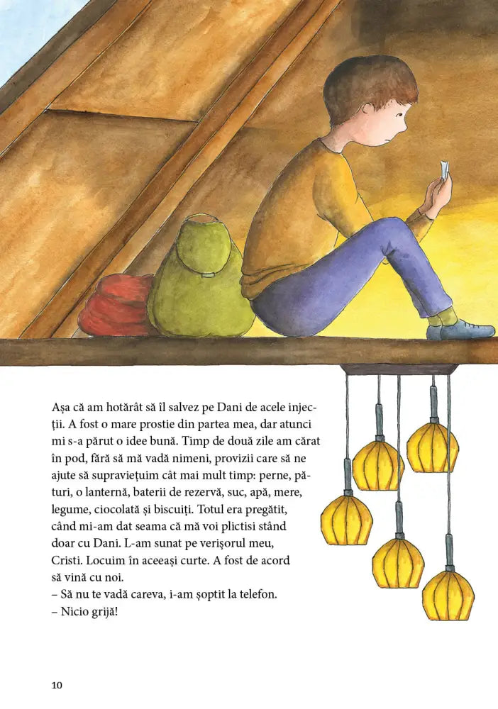 Dani Eroul De Zahăr Cărți